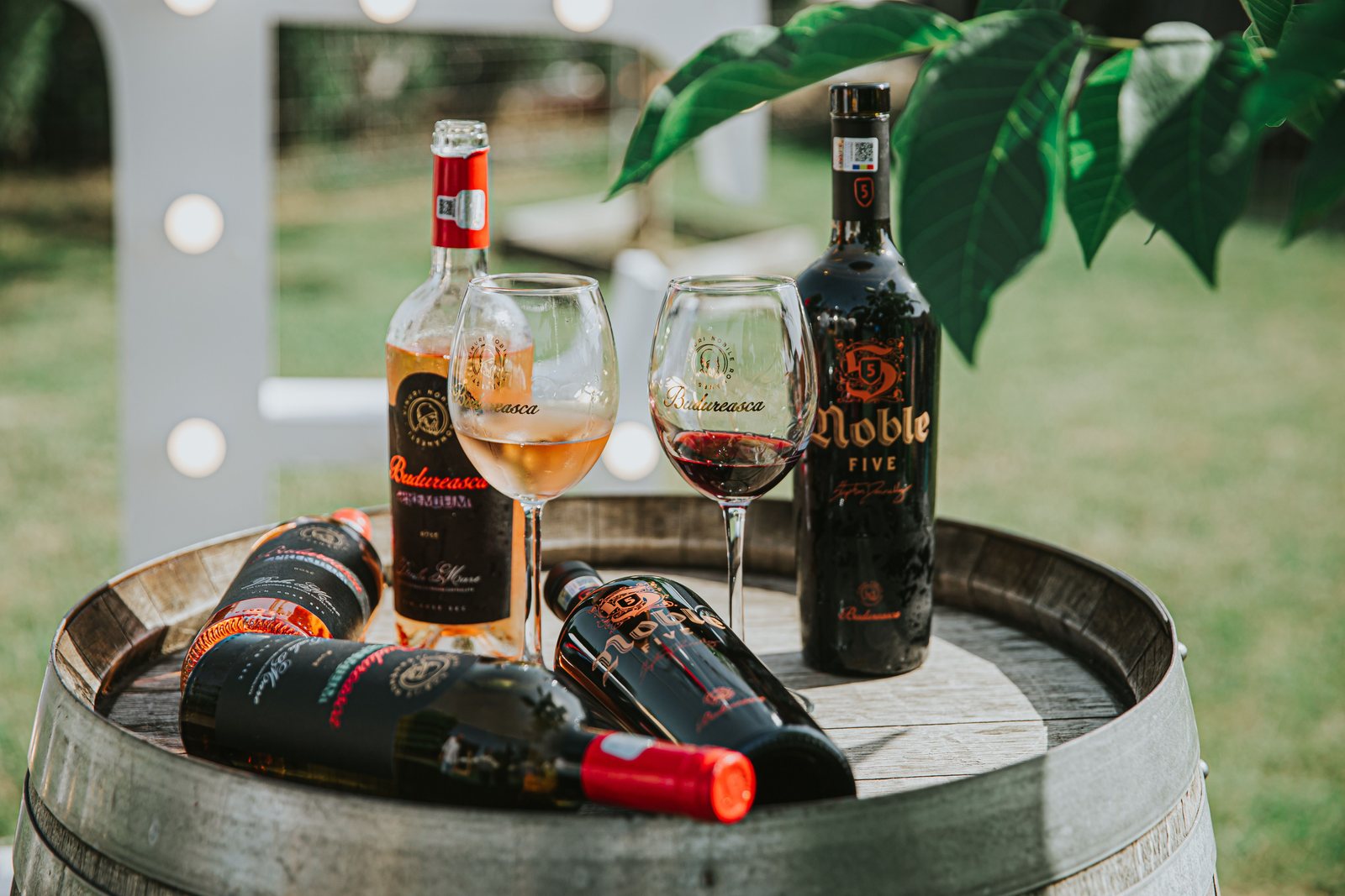 Wine bottles and glasses arranged for Rustic Fields wine moments